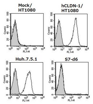 Anti-Claudin-1/CLDN1 Antibody, clone 7A5 clone 7A5, from mouse