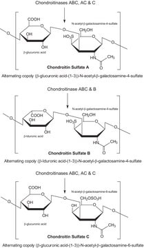 Chondroitinase&#160;ABC from Proteus vulgaris BSA free, lyophilized powder, specific activity 50-250 units/mg protein