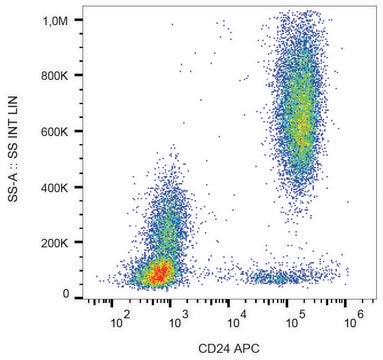 Monoclonal Anti-CD24 antibody produced in mouse clone SN3