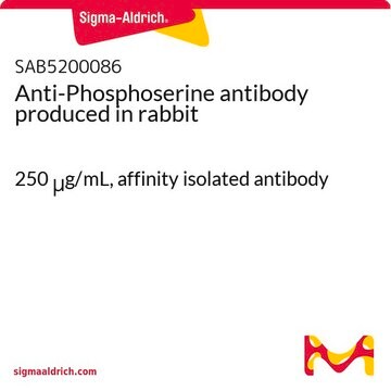 Anti-Phosphoserine antibody produced in rabbit 250&#160;&#956;g/mL, affinity isolated antibody