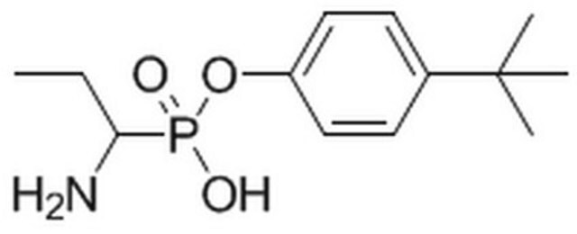 Aminopeptidase N/CD13 Inhibitor The Aminopeptidase N/CD13 Inhibitor controls the biological activity of Aminopeptidase N/CD13. This small molecule/inhibitor is primarily used for Neuroscience applications.