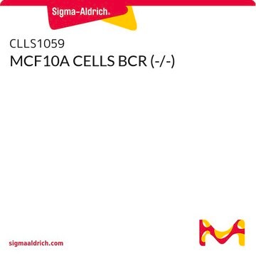 MCF10A CELLS BCR (-/-)