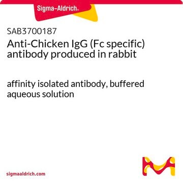 Anti-Chicken IgG (Fc specific) antibody produced in rabbit affinity isolated antibody, buffered aqueous solution