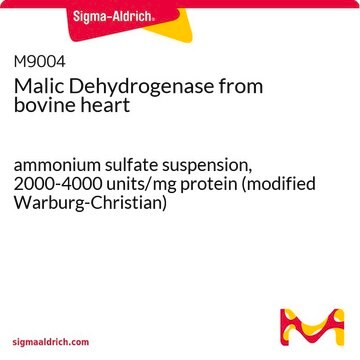 Malic Dehydrogenase from bovine heart ammonium sulfate suspension, 2000-4000&#160;units/mg protein (modified Warburg-Christian)