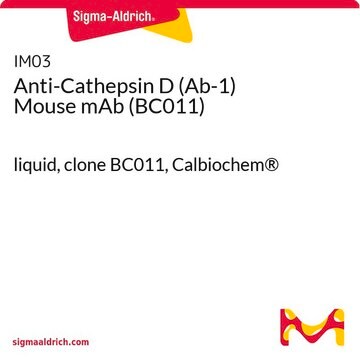 Anti-Cathepsin D (Ab-1) Mouse mAb (BC011) liquid, clone BC011, Calbiochem&#174;