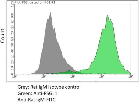 Anti-PSGL-1/CD162 Antibody, clone HECA-452