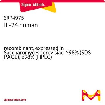 IL-24 human recombinant, expressed in Saccharomyces cerevisiae, &#8805;98% (SDS-PAGE), &#8805;98% (HPLC)