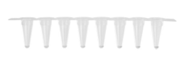 Axygen low profile 0.1 mL thin wall PCR strip tubes &amp; real time strip caps clear