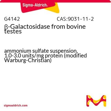 &#946;-ガラクトシダーゼ from bovine testes ammonium sulfate suspension, 1.0-3.0&#160;units/mg protein (modified Warburg-Christian)