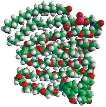 18:0 PEG2000 PE CF Avanti Research&#8482; - A Croda Brand 810120P, powder