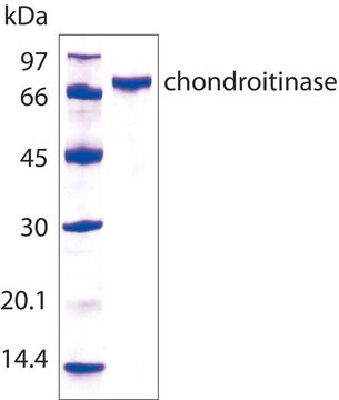 Chondroitinase&#160;AC from Flavobacterium heparinum recombinant, expressed in E. coli, &#8805;200&#160;units/mg protein, For Chondroitin Sulfate Analysis