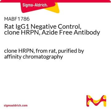 Rat IgG1 Negative Control, clone HRPN, Azide Free Antibody clone HRPN, from rat, purified by affinity chromatography