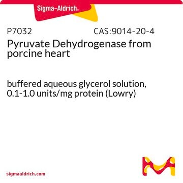 Pyruvate Dehydrogenase from porcine heart buffered aqueous glycerol solution, 0.1-1.0&#160;units/mg protein (Lowry)