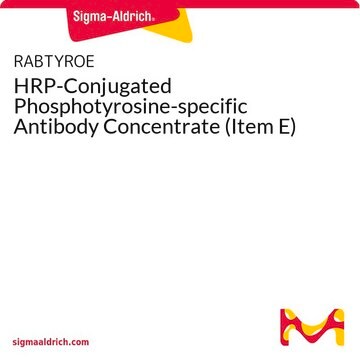 HRP-Conjugated Phosphotyrosine-specific Antibody Concentrate (Item E)