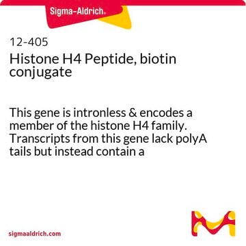 Histone H4 Peptide, biotin conjugate This gene is intronless &amp; encodes a member of the histone H4 family. Transcripts from this gene lack polyA tails but instead contain a palindromic termination element.