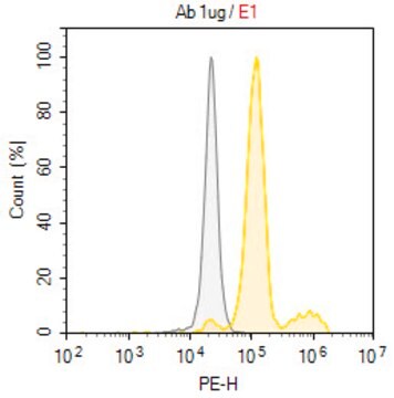 Anti-Phospho-RXR&#945;/RXRA (Ser56)