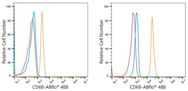 Anti-CD68 Antibody, clone 5S2F7, Rabbit Monoclonal