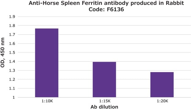 抗ウマ脾臓フェリチン ウサギ宿主抗体 affinity isolated antibody, lyophilized powder