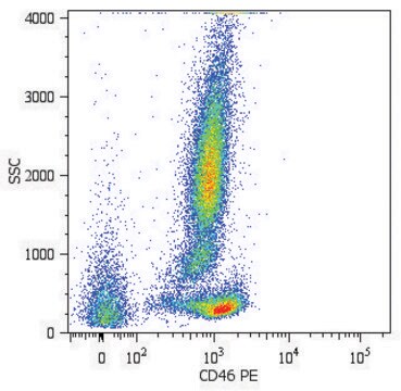 Monoclonal Anti-CD46-PE antibody produced in mouse clone MEM-258, purified immunoglobulin, buffered aqueous solution