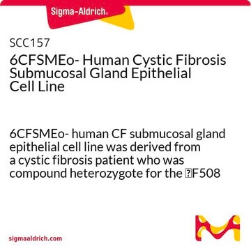 6CFSMEo- Human Cystic Fibrosis Submucosal Gland Epithelial Cell Line 6CFSMEo- human CF submucosal gland epithelial cell line was derived from a cystic fibrosis patient who was compound heterozygote for the &#916;F508 and Q2X CFTR mutations.