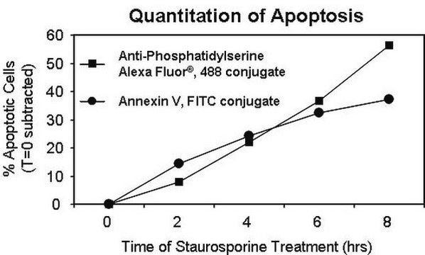 Anti-Phosphatidylserine Antibody, clone 1H6, Alexa Fluor&#8482; 488 clone 1H6, Upstate&#174;, from mouse