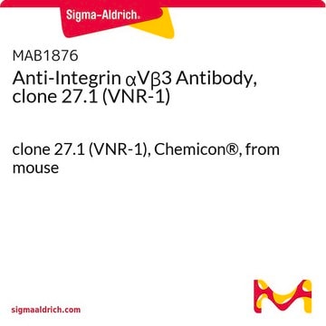 Anti-Integrin &#945;V&#946;3 Antibody, clone 27.1 (VNR-1) clone 27.1 (VNR-1), Chemicon&#174;, from mouse