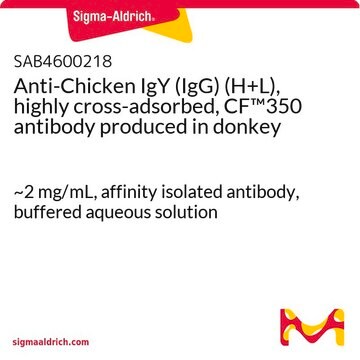 Anti-Chicken IgY (IgG) (H+L), highly cross-adsorbed, CF&#8482;350 antibody produced in donkey ~2&#160;mg/mL, affinity isolated antibody, buffered aqueous solution