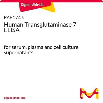 Human Transglutaminase 7 ELISA for serum, plasma and cell culture supernatants