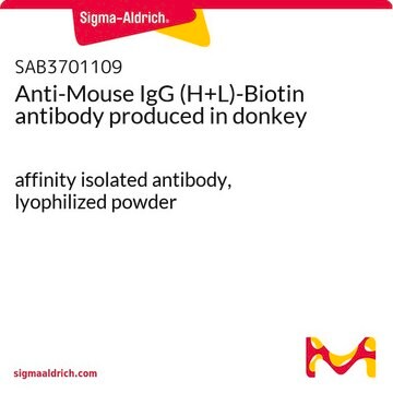 Anti-Mouse IgG (H+L)-Biotin antibody produced in donkey affinity isolated antibody, lyophilized powder