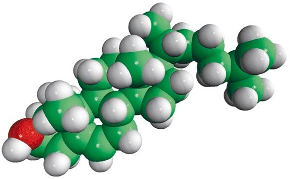 Cholesterol (ovine) Avanti Research&#8482; - A Croda Brand