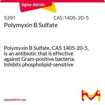 Polymyxin B Sulfate Polymyxin B Sulfate, CAS 1405-20-5, is an antibiotic that is effective against Gram-positive bacteria. Inhibits phospholipid-sensitive Ca2+-dependent protein kinases.