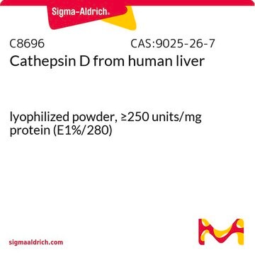 Cathepsin D from human liver lyophilized powder, &#8805;250&#160;units/mg protein (E1%/280)