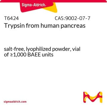 Trypsin from human pancreas salt-free, lyophilized powder, vial of &#8805;1,000&#160;BAEE units