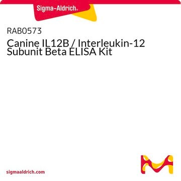 Canine IL12B / Interleukin-12 Subunit Beta ELISA Kit