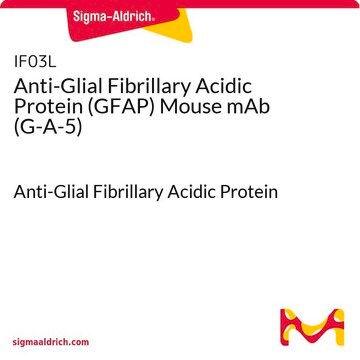 Anti-Glial Fibrillary Acidic Protein (GFAP) Mouse mAb (G-A-5) Anti-Glial Fibrillary Acidic Protein