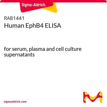 Human EphB4 ELISA for serum, plasma and cell culture supernatants