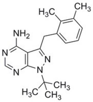 PP1 Analog V 2,3-DMB-PP1