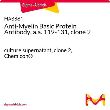 Anti-Myelin Basic Protein Antibody, a.a. 119-131, clone 2 culture supernatant, clone 2, Chemicon&#174;