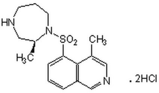 Rho Kinase Inhibitor The Rho kinase inhibitor, CAS 872543-07-6, is a cell-permeable, highly specific, reversible, potent, and ATP-competitive inhibitor of Rho-associated kinase (ROCK; Ki = 1.6 nM).