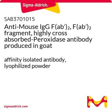 Anti-Mouse IgG F(ab&#8242;)2, F(ab&#8242;)2 fragment, highly cross absorbed-Peroxidase antibody produced in goat affinity isolated antibody, lyophilized powder