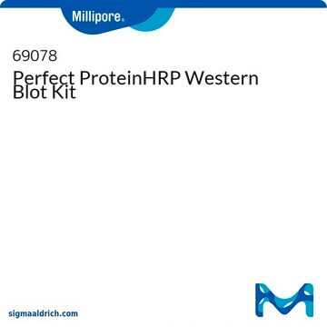 Perfect ProteinHRP Western Blot Kit