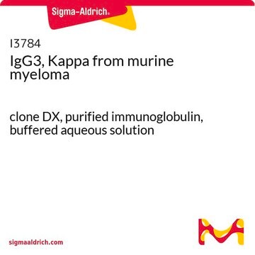 IgG3, Kappa from murine myeloma clone DX, purified immunoglobulin, buffered aqueous solution