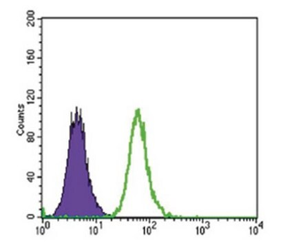 Anti-DKK3, clone 4G7 Antibody ascites fluid, clone 4G7, from mouse