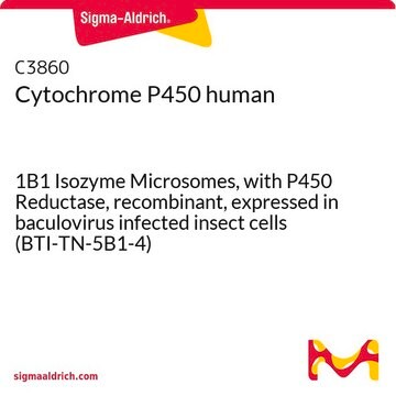 Cytochrome P450 human 1B1 Isozyme Microsomes, with P450 Reductase, recombinant, expressed in baculovirus infected insect cells (BTI-TN-5B1-4)