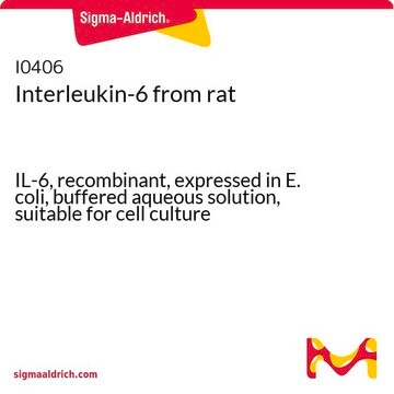 Interleukin-6 from rat IL-6, recombinant, expressed in E. coli, buffered aqueous solution, suitable for cell culture