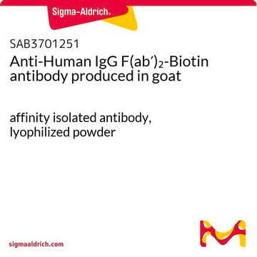 Anti-Human IgG F(ab&#8242;)2-Biotin antibody produced in goat affinity isolated antibody, lyophilized powder