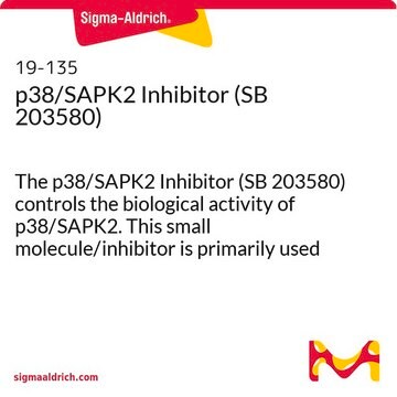 p38/SAPK2 Inhibitor (SB 203580) The p38/SAPK2 Inhibitor (SB 203580) controls the biological activity of p38/SAPK2. This small molecule/inhibitor is primarily used for Biochemicals applications.