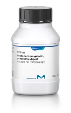 Peptone from gelatin, pancreatic digest suitable for microbiology