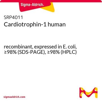 Cardiotrophin-1 human recombinant, expressed in E. coli, &#8805;98% (SDS-PAGE), &#8805;98% (HPLC)