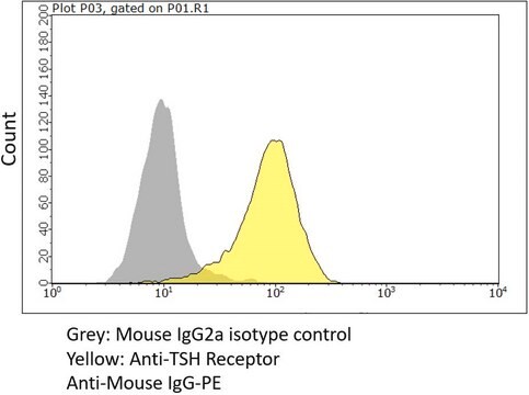 Anti-TSH Receptor Antibody, clone CS-17